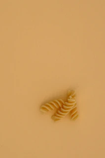 Company Corinna Cordes logo